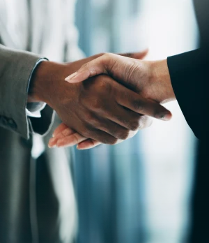 investment counselling